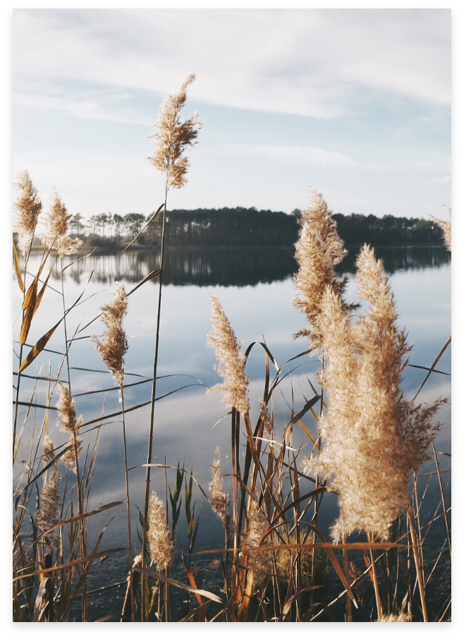 timothy-meinberg-phx4UXMQRTg-unsplash@2x Kellerbuch Software in Österreich entwickelt