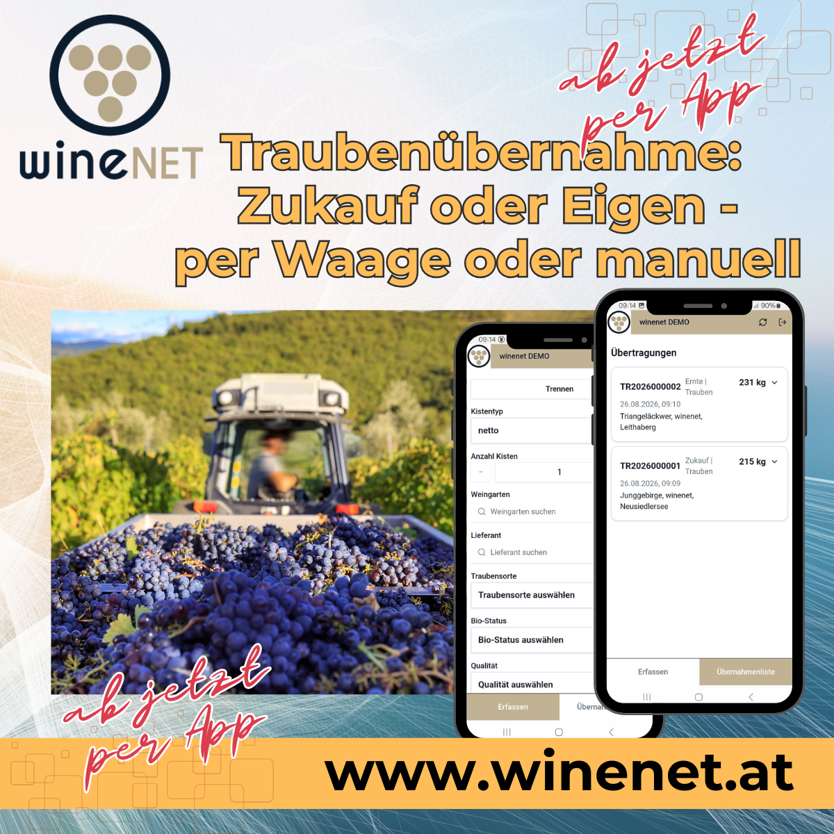 Read more about the article Traubenübernahme per App